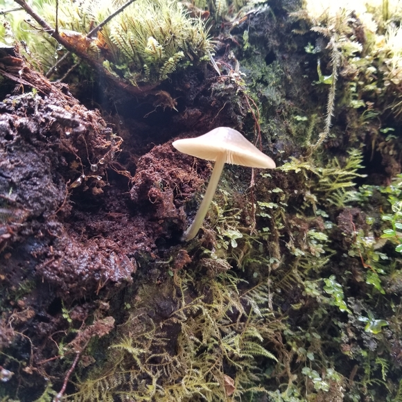 Welcome and Come With Me on My Journey - Picture 6 of 13